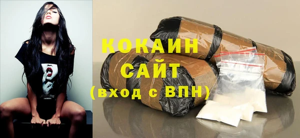мет Ельня