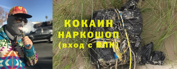 мет Ельня