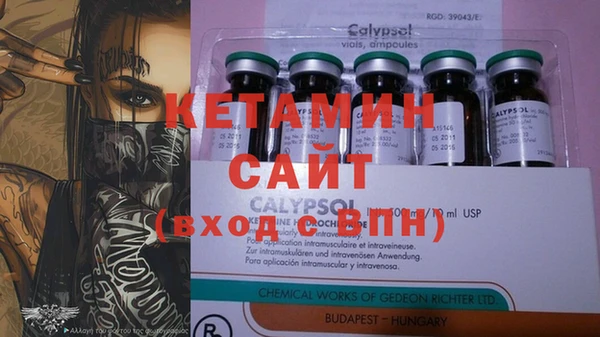 мет Ельня