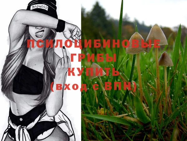 МДПВ Елизово